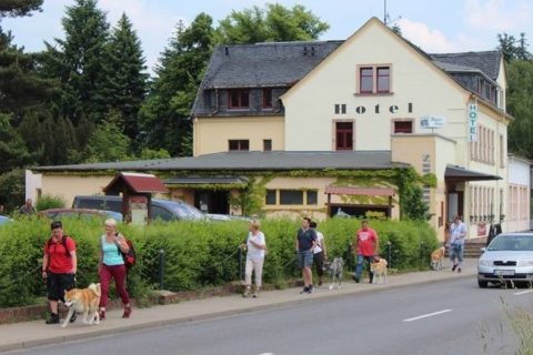 Akita Inu Züchterin Birgit Ufer