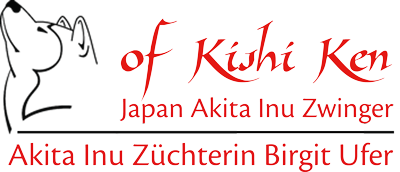 Japan Akita Inu Welpen aus Sachsen vom Zwinger of Kishi Ken