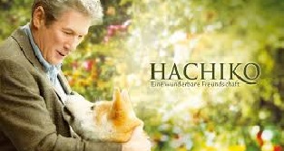 Hachi 8